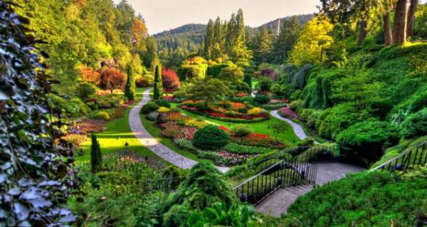 學(xué)習(xí)國(guó)外苗木行業(yè)經(jīng)驗(yàn)，搶先了解國(guó)內(nèi)市場(chǎng)動(dòng)態(tài)