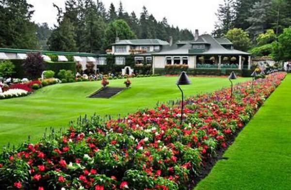 學(xué)習(xí)國(guó)外苗木行業(yè)經(jīng)驗(yàn)，搶先了解國(guó)內(nèi)市場(chǎng)動(dòng)態(tài)