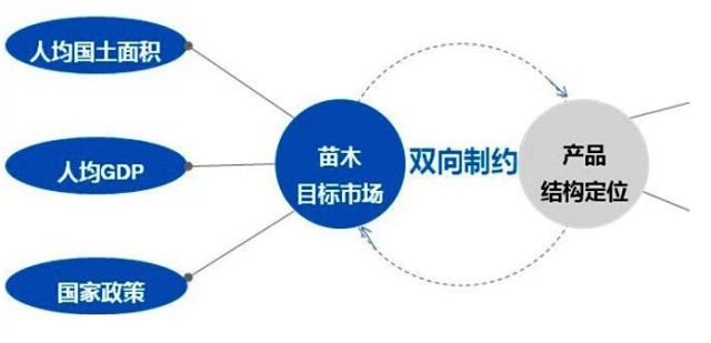 學(xué)習(xí)國(guó)外苗木行業(yè)經(jīng)驗(yàn)，搶先了解國(guó)內(nèi)市場(chǎng)動(dòng)態(tài)