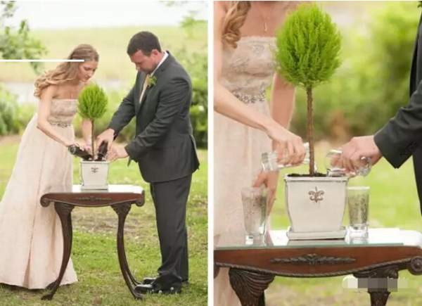 結(jié)婚離婚要植樹(shù)