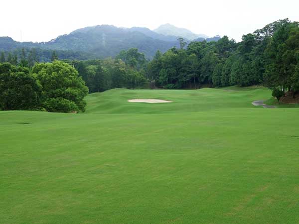 高爾夫球場草坪圖片