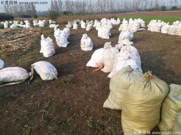 佛甲草發(fā)物流快遞裝箱包裝圖片 