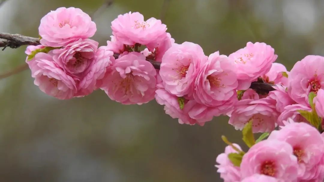 1673152783161987.jpg 微信圖片_20230102170951.jpg