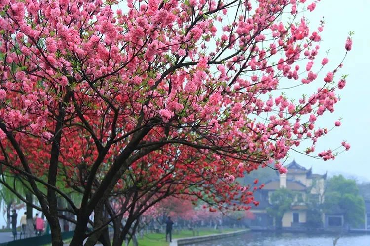 1673152790123626.jpg 微信圖片_20230102170954.jpg