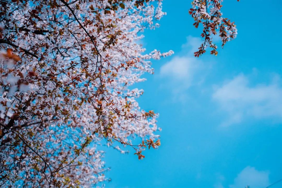 1673153713899590.jpg 微信圖片_20230107195010.jpg