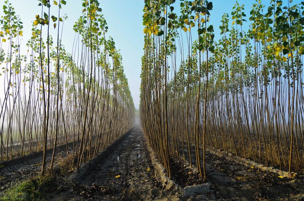 1673156448741043.jpg 微信圖片_20230108134016.jpg