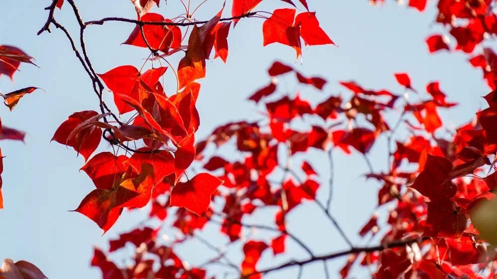 1673162045523844.jpg 微信圖片_20230107171438.jpg