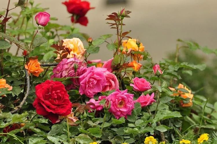 1673525056895732.jpg 微信圖片_20221126211636.jpg