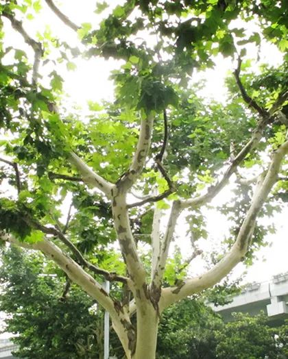 1673525799804177.jpg 微信圖片_20230112201606.jpg