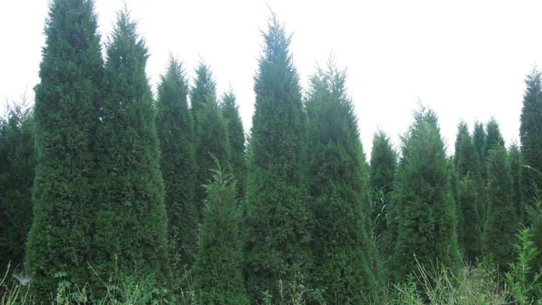 1673526035119186.jpg 微信圖片_20230112201944.jpg