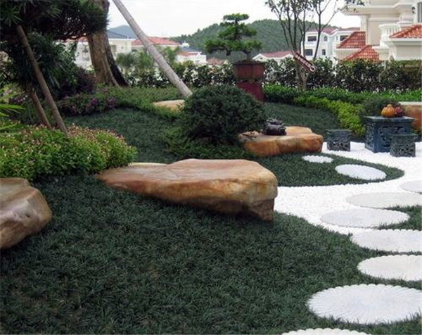 玉龍草花園鋪設(shè)實景圖片