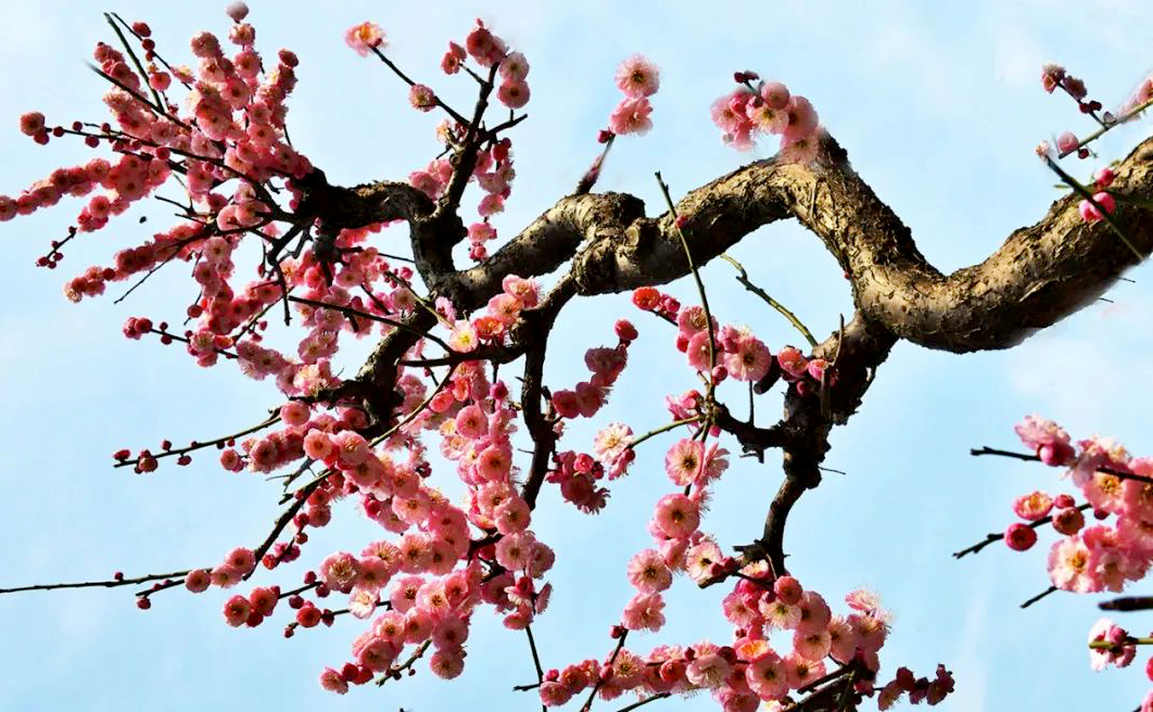 1675196800250766.jpg 微信圖片_20230108124133.jpg