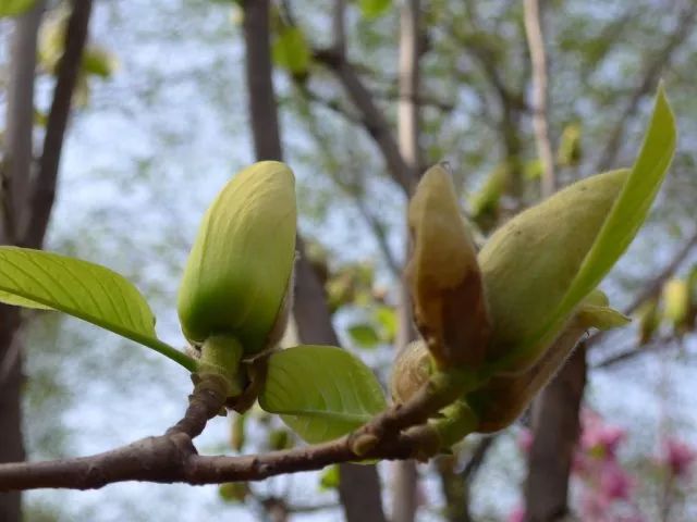 1675197641700046.jpg 微信圖片_20230113055147.jpg