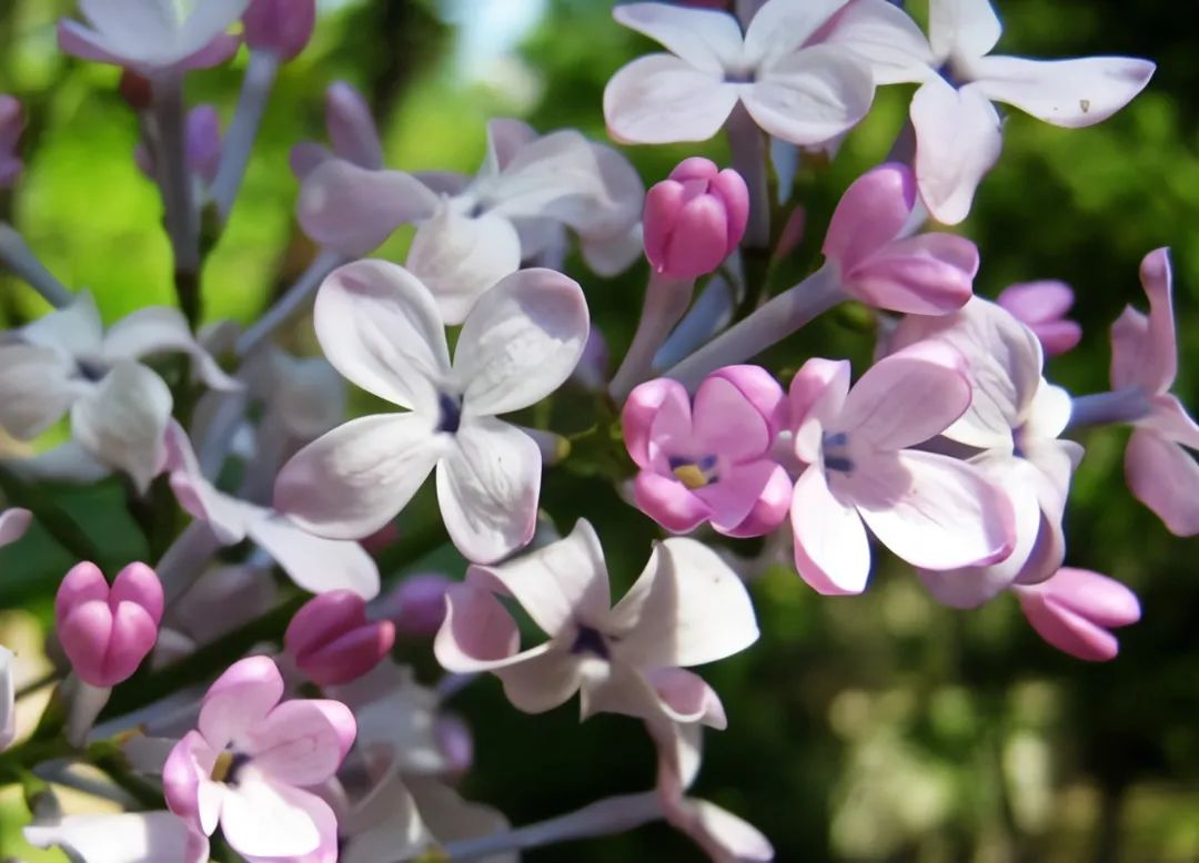 1675197711483891.jpg 微信圖片_20221104193354.jpg