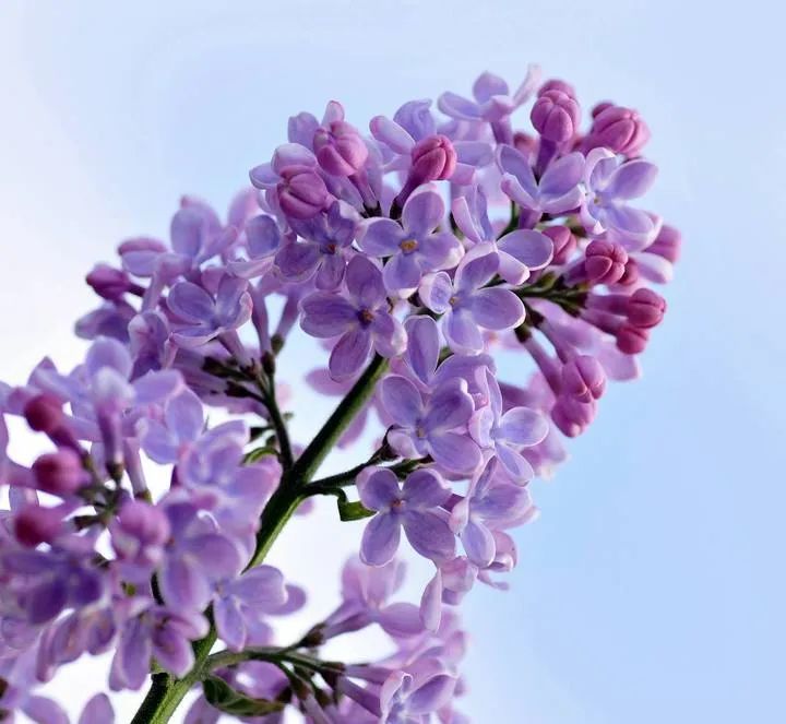 1675197771795721.jpg 微信圖片_20221104193404.jpg