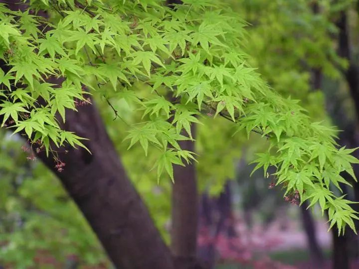 1675198440498951.jpg 微信圖片_20230201045258.jpg