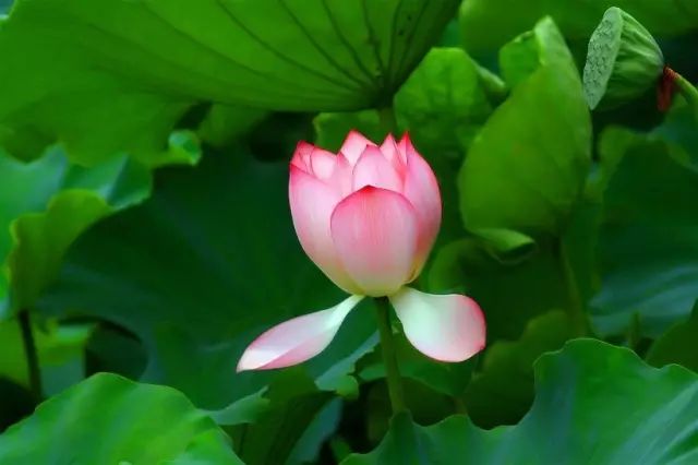 1675198765347294.jpg 微信圖片_20221023221631.jpg