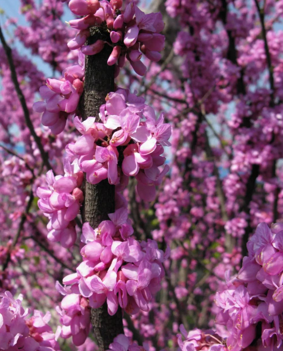 1675199602904400.jpg 微信圖片_20230201051117.jpg