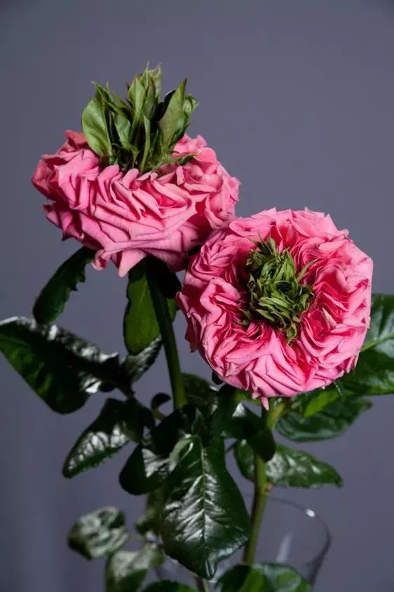 1675519260848770.jpg 微信圖片_20230204215914.jpg