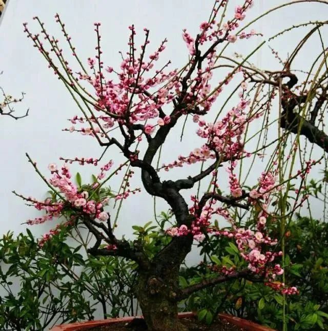 1676581633580049.jpg 微信圖片_20221120163422.jpg