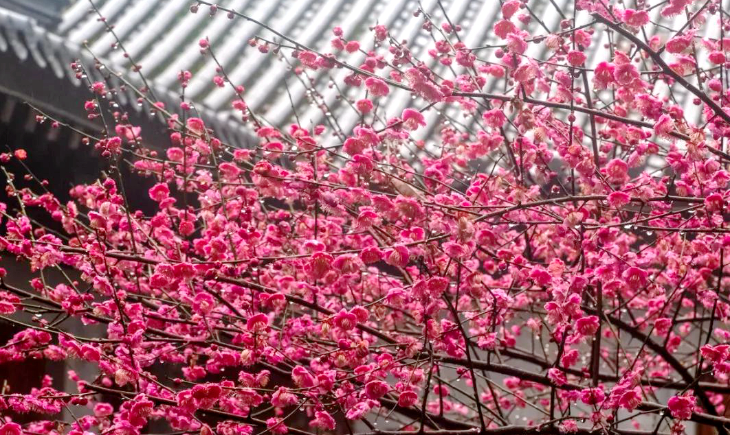 1676582027400954.jpg 微信圖片_20230108124128.jpg