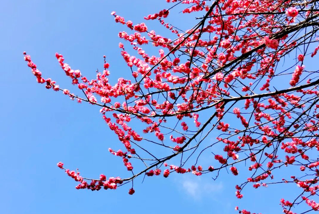 1676582036757897.jpg 微信圖片_20230108124130.jpg