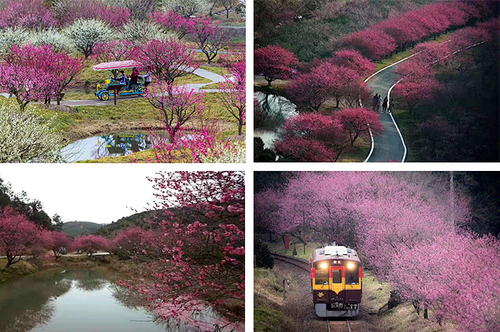 1676582045321013.png 微信圖片_20230115221911.png