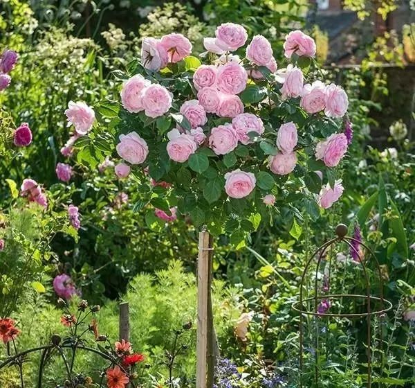 1676582443609214.jpg 微信圖片_20230211070220.jpg