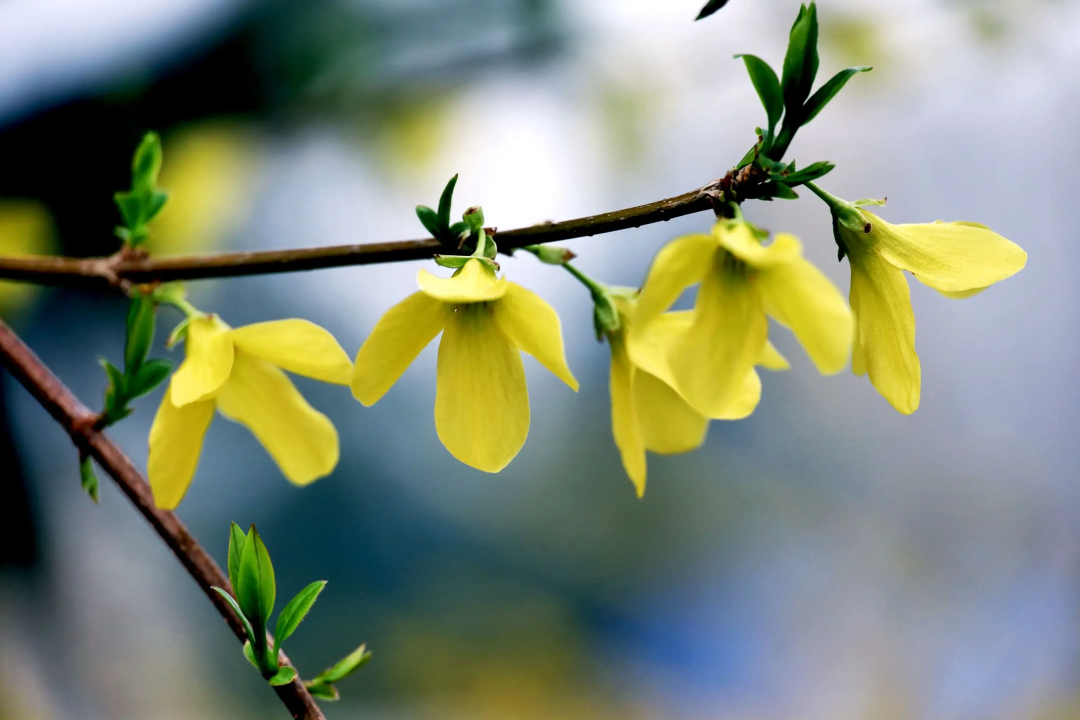 1676583196139326.png 微信圖片_20221120165349.png