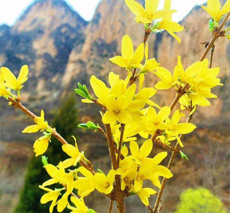 1676583205772952.jpg 微信圖片_20221120165352.jpg