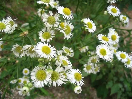 1676583723786155.jpg 微信圖片_20221125064843.jpg