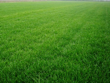 1676797545833332.png 微信圖片_20221031154649.png