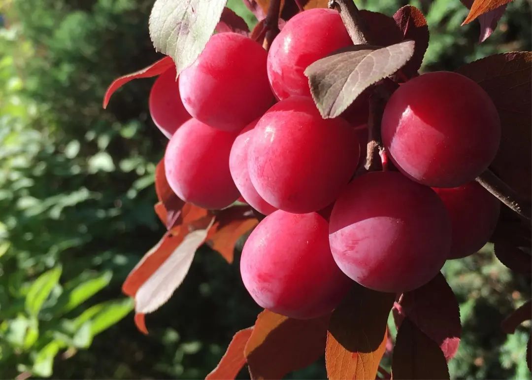 1676894173214065.jpg 微信圖片_20230107162455.jpg