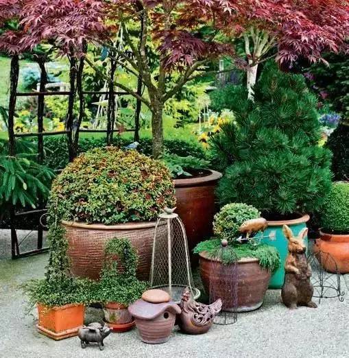 什么是花鏡植物